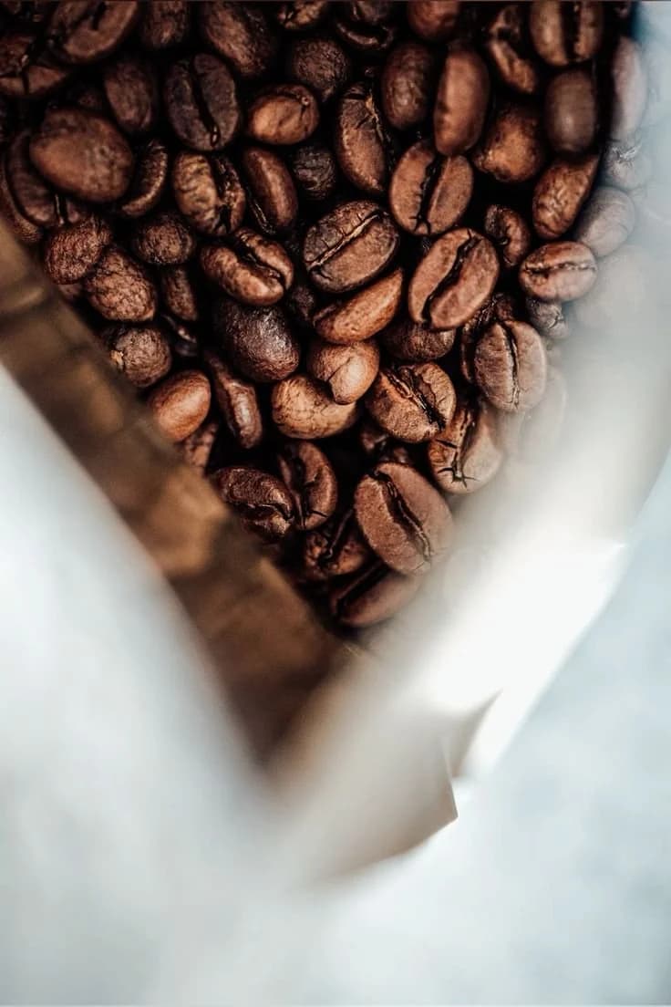 Granos de café de especialidad de IMPETUS